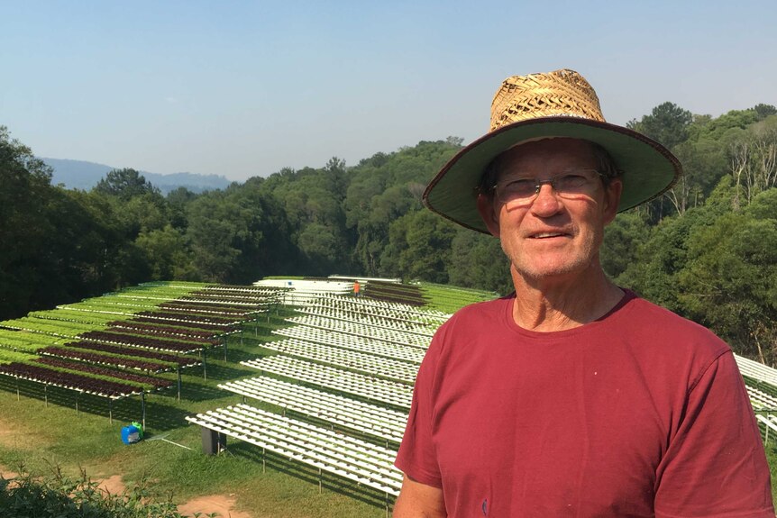Russell Fingleton and his Sunshine Coast hydroponic lettuce farm