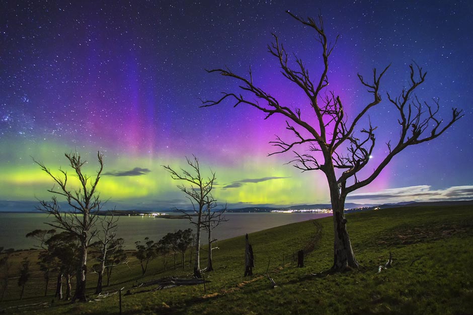 Aurora Treescape by James Garlick