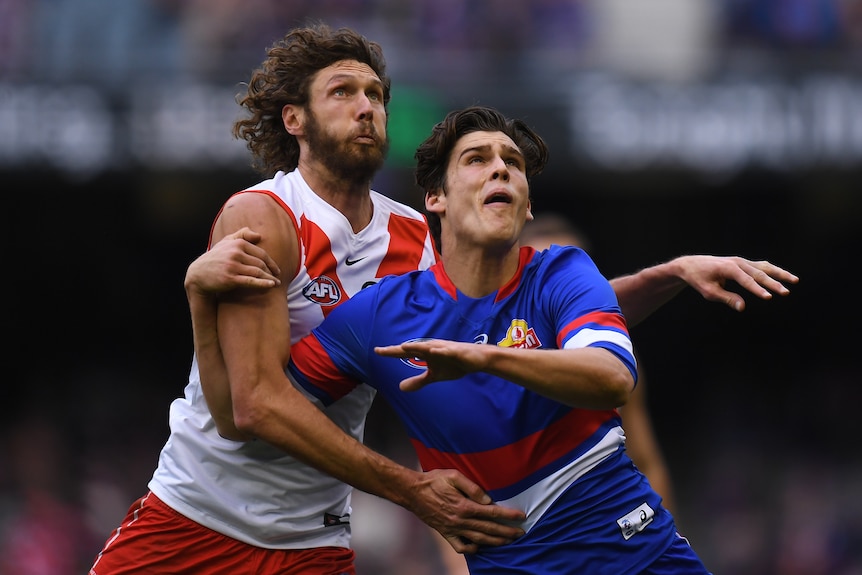 A Sydney Swans AFL player leans against a Western Bulldogs opponent as they contest for the ball.