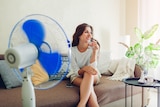 Smiling woman sitting on a couch in front of an oscillating fan, in a story about reducing mould and COVID spread at home.