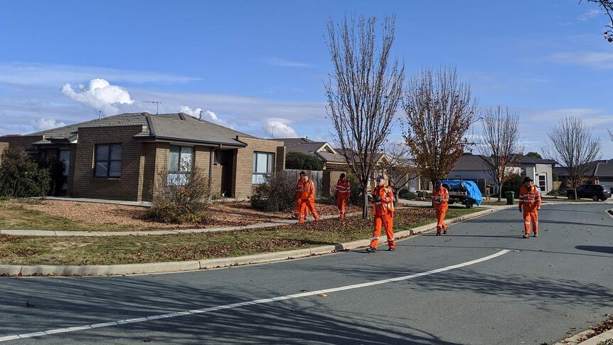SES volunteers search the streets of Dunlop following a shooting.