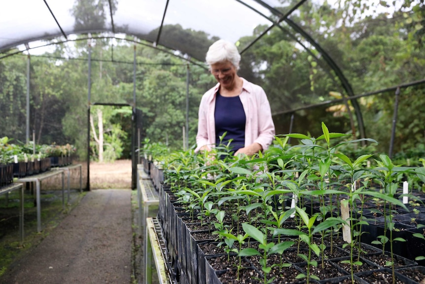 Woman in pink shirt smiles as she tends to seedlings in a nursery.