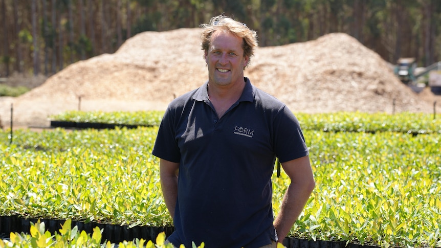 A man in a blue shirt standing in front of seedlings 