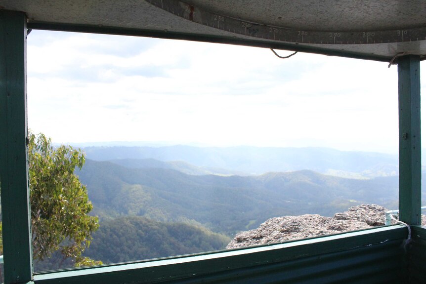 View from a fire tower