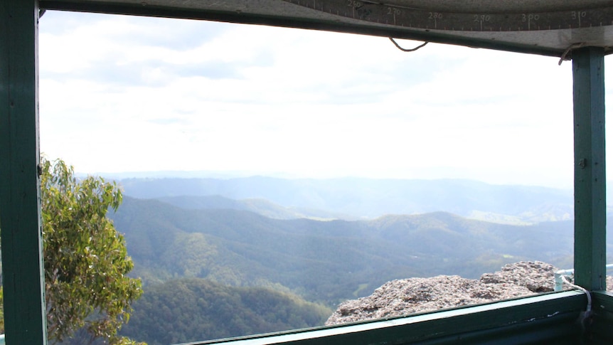 View from a fire tower