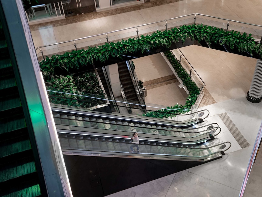 A lone shopper rides an escalator between floors surrounded by indoor plants