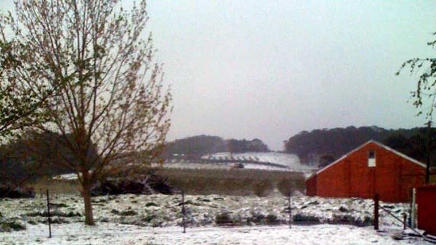 Snow covers a field in Orange in central western New South Wales.