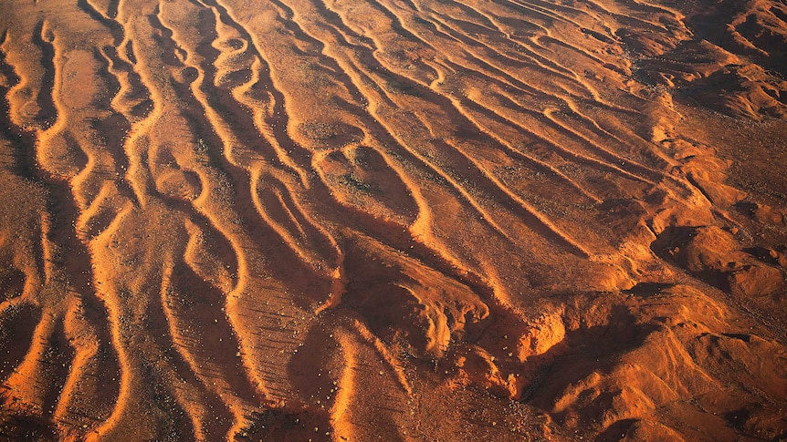 Aerial photo of the Great Sandy Desert