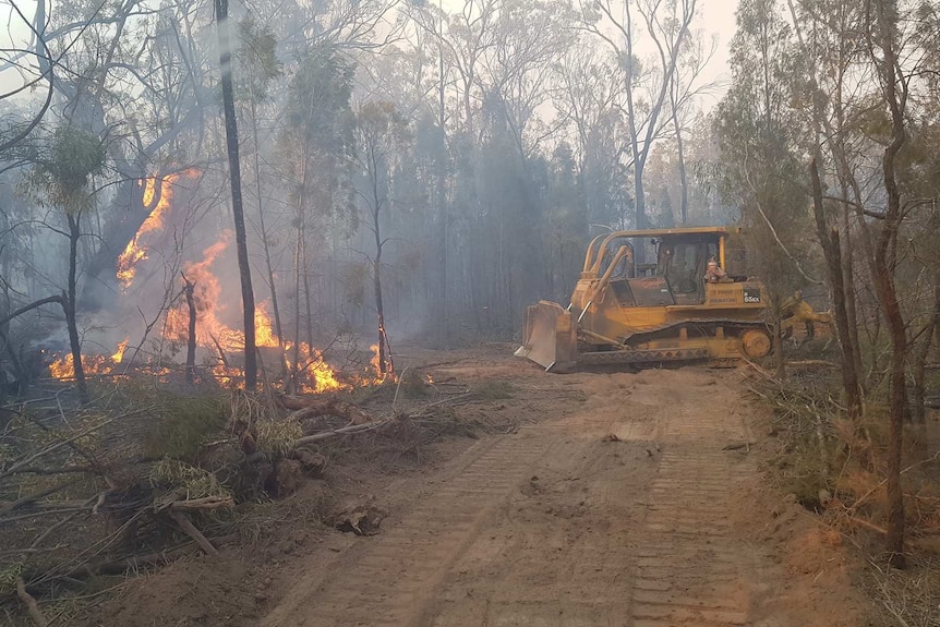 A bulldozer pushes down bushland to create a fire break.