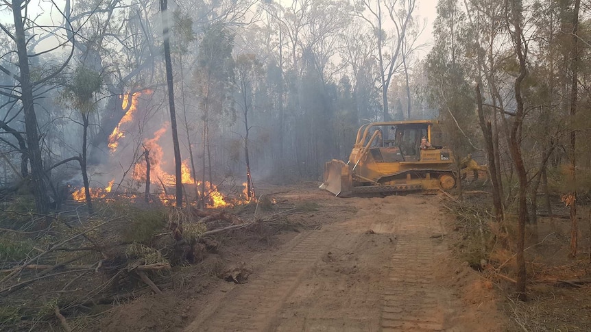 A bulldozer pushes down bushland to create a fire break.