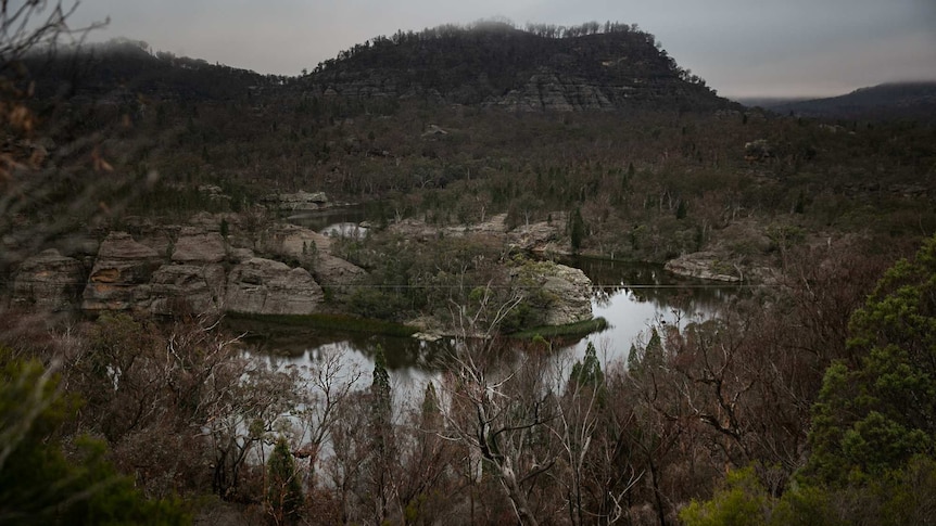 A winding body of water, surrounded by rocky cliffs and trees
