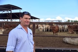 Stuart Kemp, NT Livestock Exporters Association, stands in front of cattle at export yards at Berrimah
