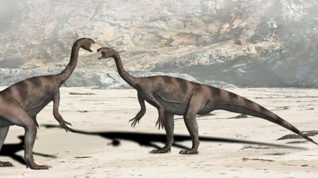 Plateosaurus engelhardti.