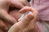 A doctor's hand injecting a vaccination needle into a patient's arm