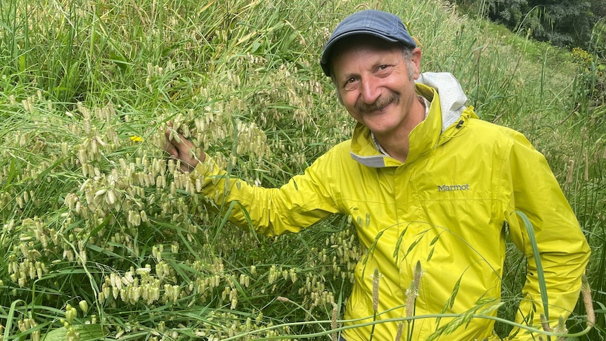 You see a man in a bright neon yellow rain jacket in a field holding a bunch of overgrown weeds.