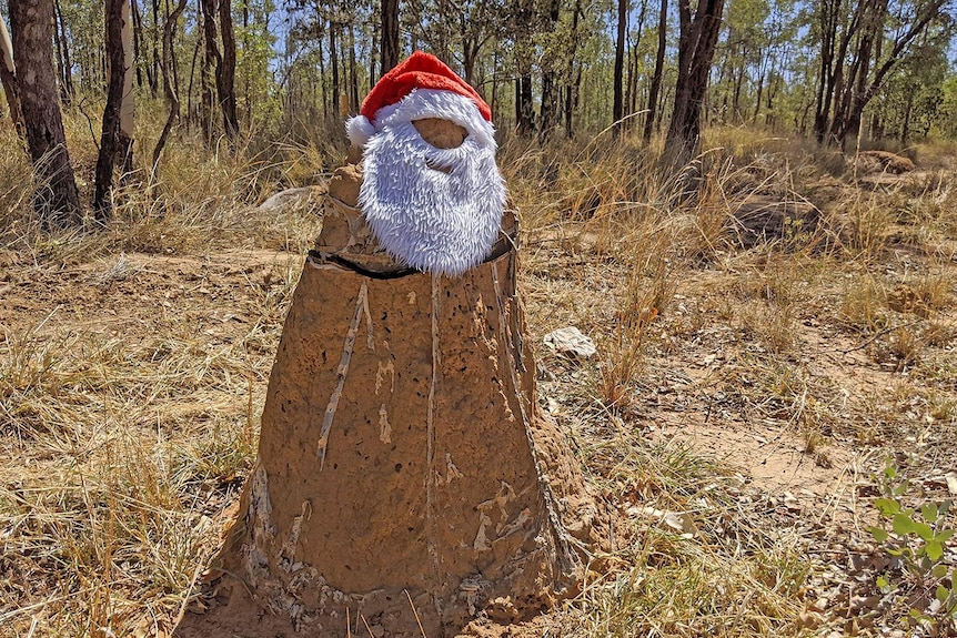 A termite mound dressed as Santa.