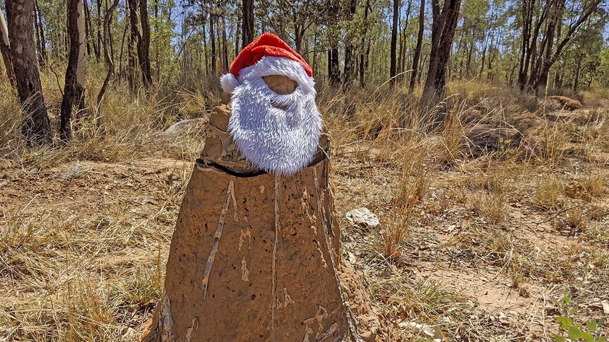 A termite mound dressed as Santa.