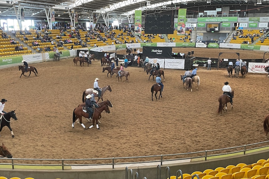 Horses being ridden in a big sand ring.