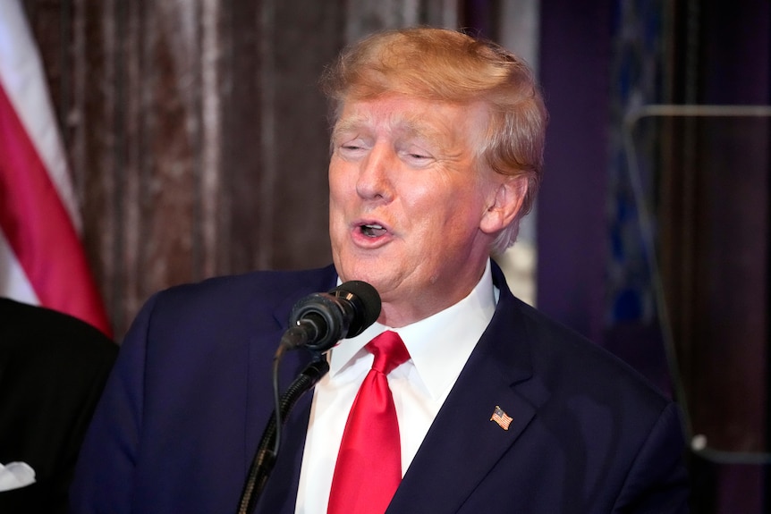 Head-and-shoulders shot of Donald Trump speaking at a microphone