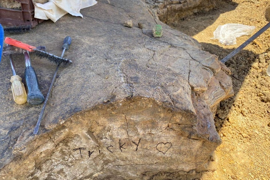 The excavation of the Karoola Station dinosaur trackway was one of the biggest of its kind in the world