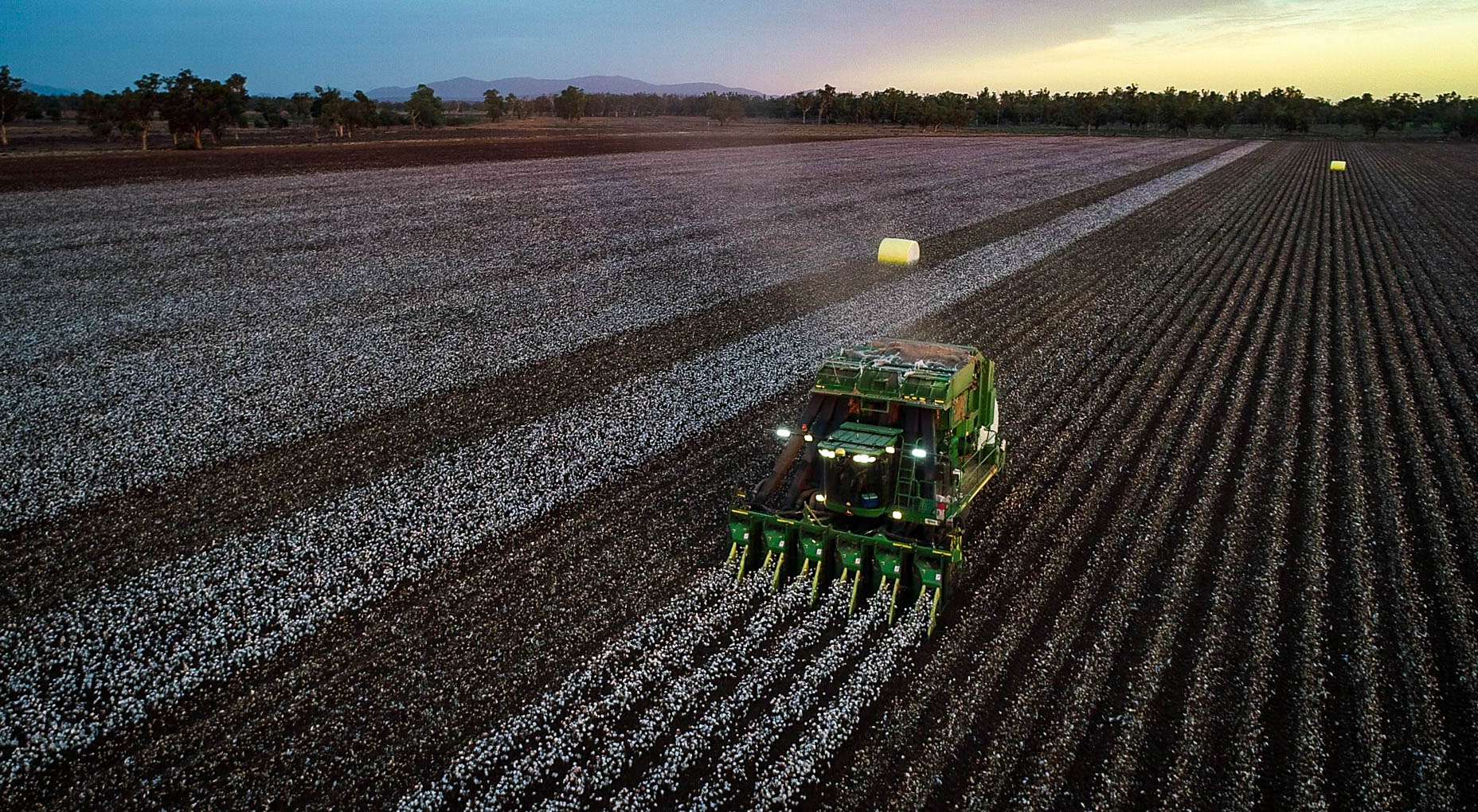 Cotton farmer defends water use in droughthit MurrayDarling Basin, as
