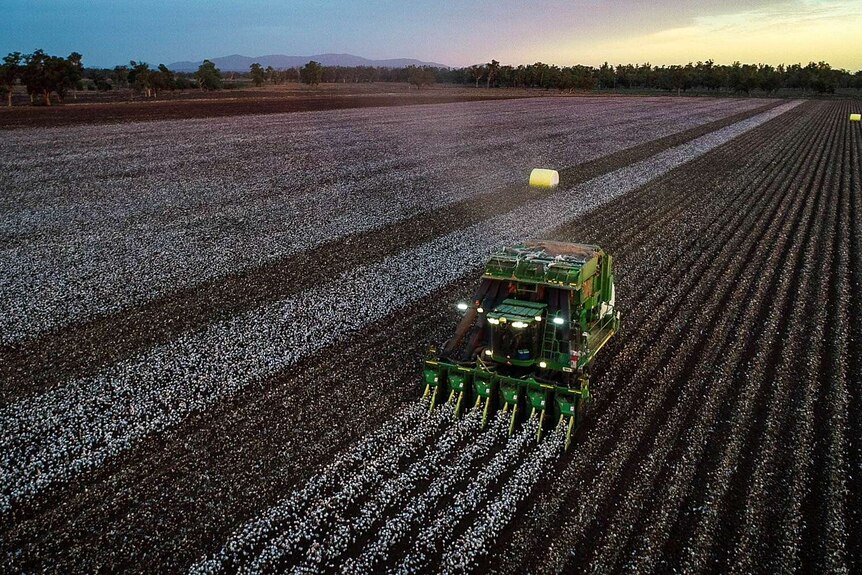 Aerial shot of a cotton harvester at sunset.