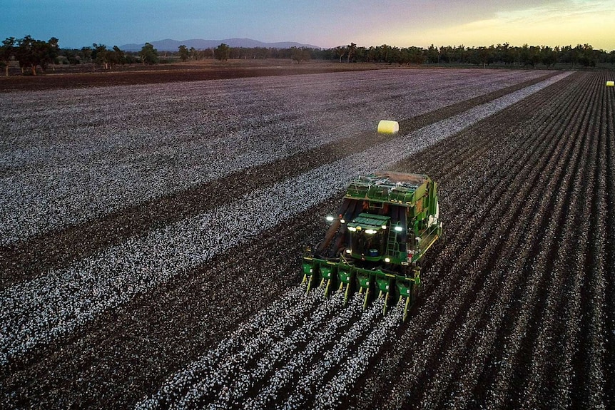 Aerial shot of a cotton harvester at sunset.