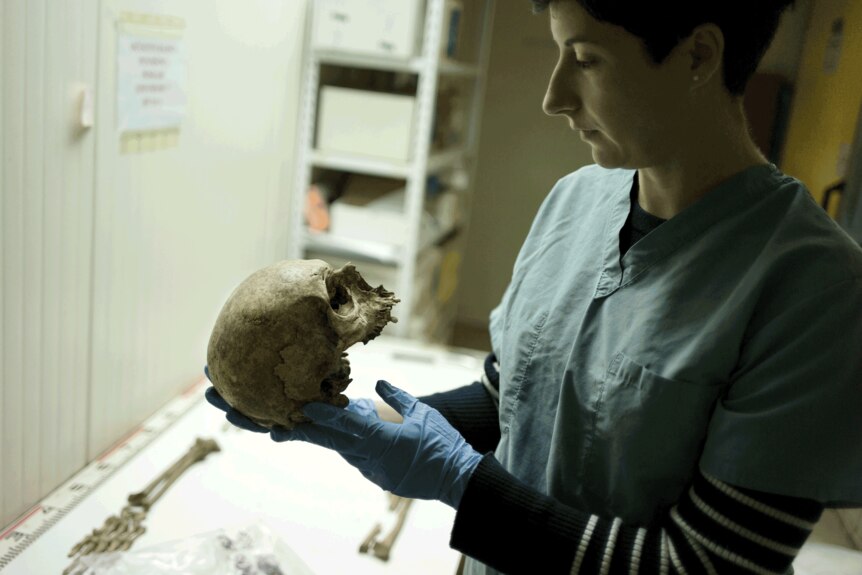 Forensic anthropologist inspects skull in Serbia