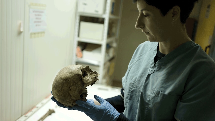 Forensic anthropologist inspects skull in Serbia
