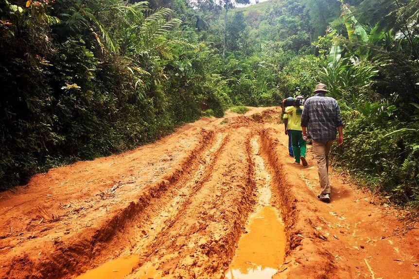 Two people walking alongside deep tyre tracks in orange muddy road leading through lush green jungle.
