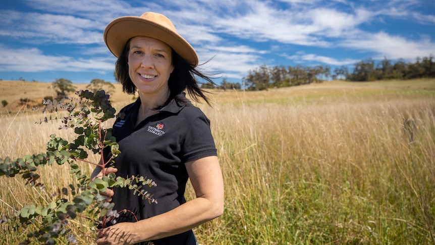 A woman standing in a fieldnext a young gum tree