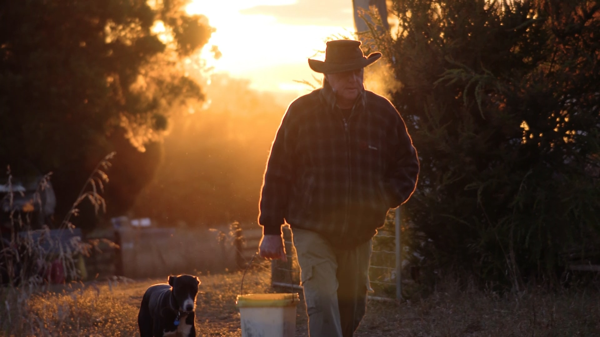 Man walking through a farm gate wearing warm clothes during sunset, dog by his side and a bucket in his hands. 