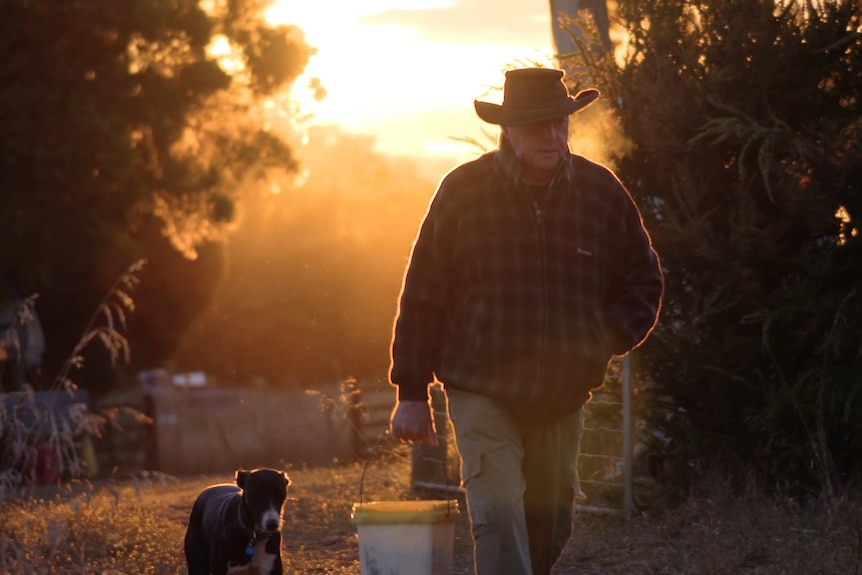 Man walking through a farm gate wearing warm clothes during sunset, dog by his side and a bucket in his hands. 