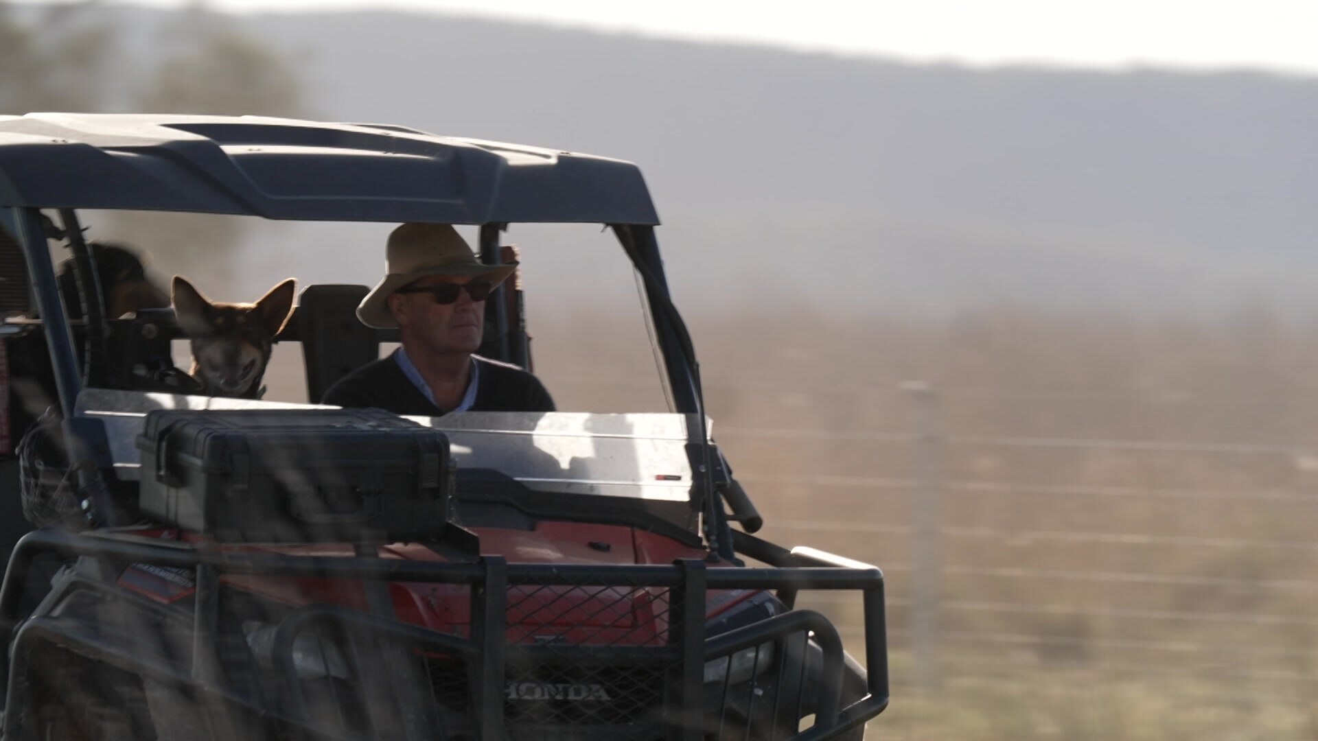 A man and a dog in a farm buggy