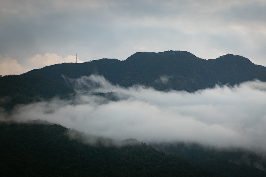 tower on large mountain stands out above a layer of cloud