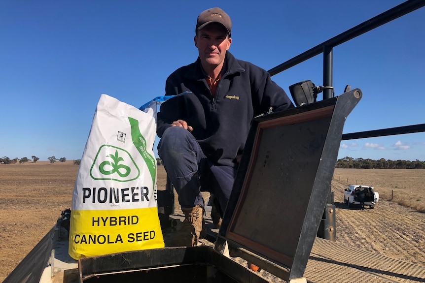 A man in blue pants and jumper kneels beside a bag marked 'HYBRID CANOLA SEED'.