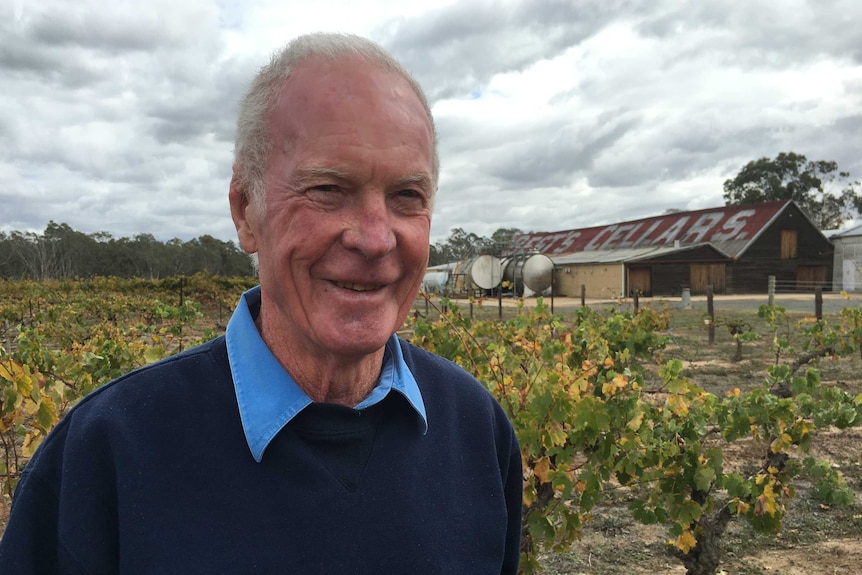 Viv Thomson with nursery block vines