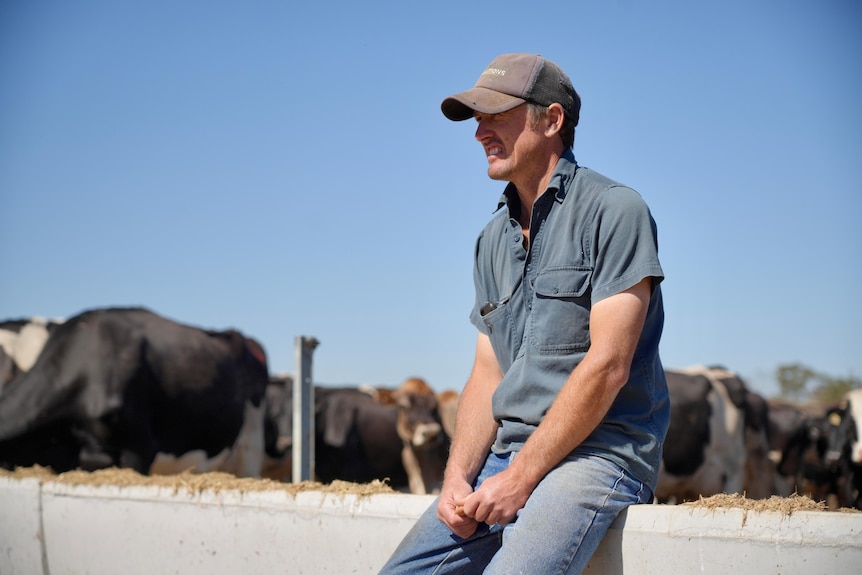 Man wearing blue top, jeans and a hat with cows behind him in the distance.