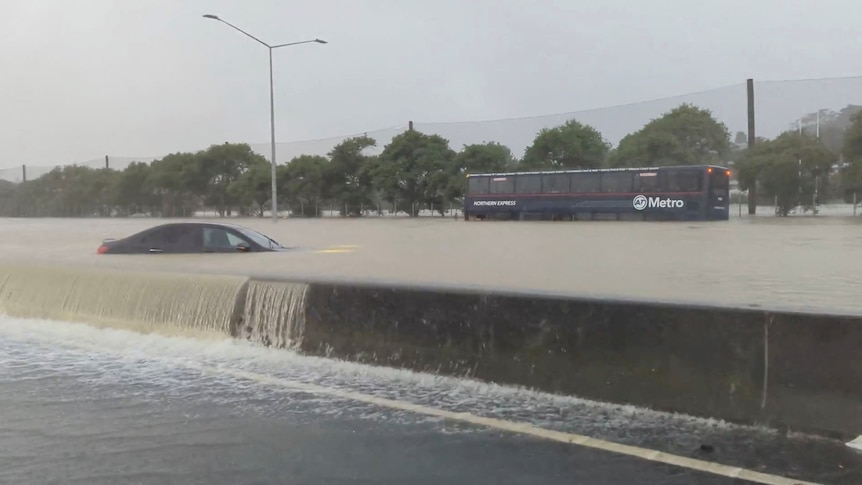 a bus and a car are shown flooded on a road in Auckland