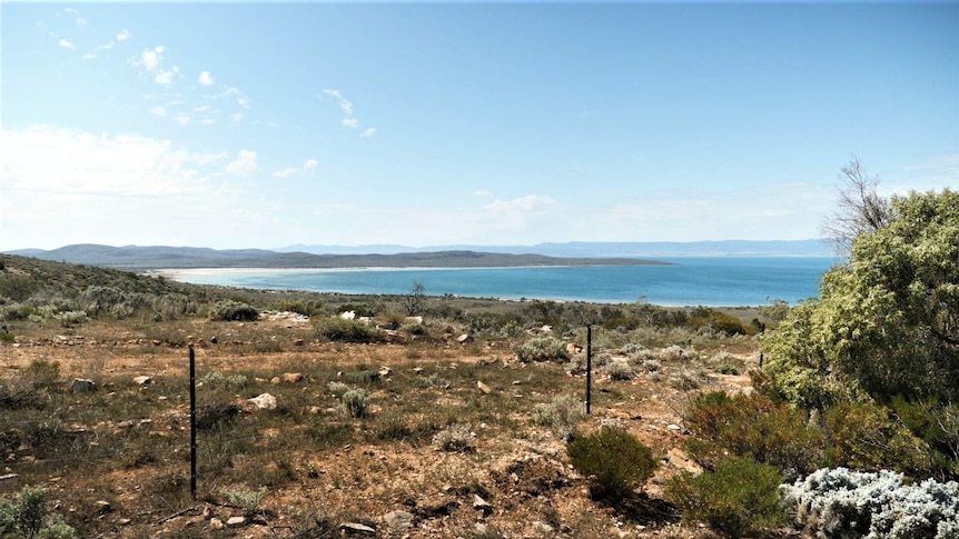 A view of Fitzgerald Bay from afar.