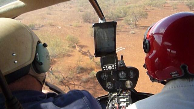 Two men sit in a helicopter following wild horses in the red-dirt Pilbara landscape