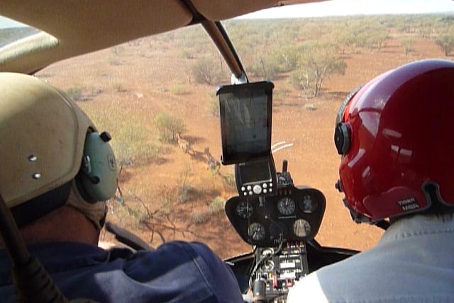 Two men sit in a helicopter following wild horses in the red-dirt Pilbara landscape