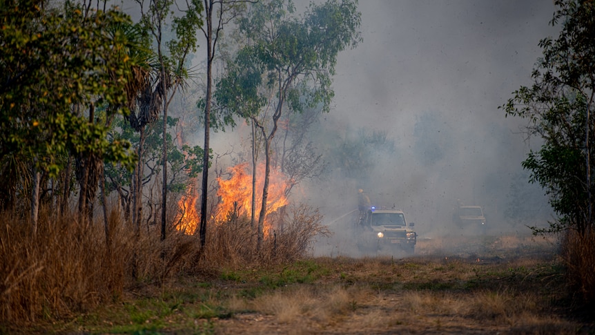 firefighters tackle a bushfire in the nt