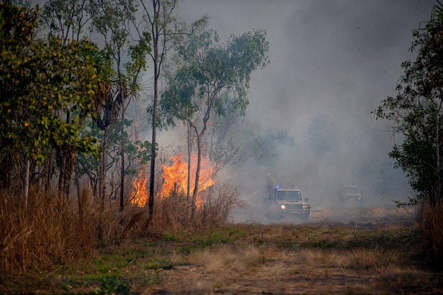 firefighters tackle a bushfire in the nt
