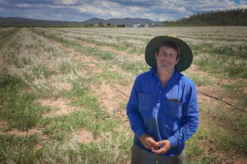 Raymond Bin standing in his vacant mango block at Mutchilba, in far north Queensland