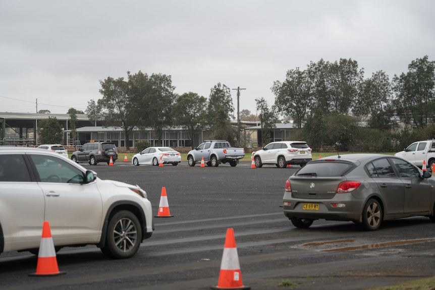 Cars parked in a line at a showground