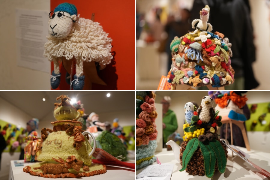A collage of four beanies: a white sheep with blue cap, seagull on fish beanie, sausage dog beanie, two budgies on a beanie.