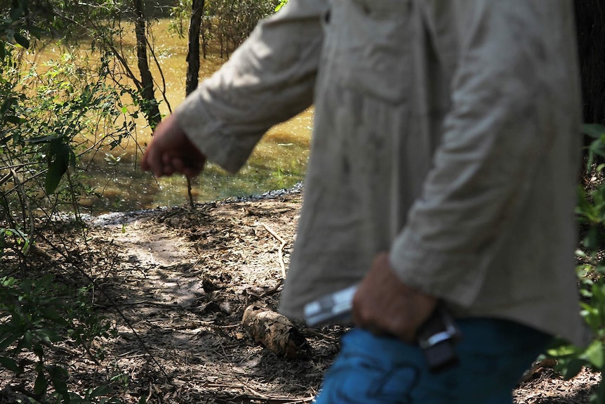 A photo of Mr Matthews pointing down to a freshly made trail emerging from a billabong.