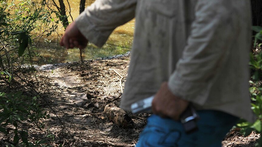 A photo of Mr Matthews pointing down to a freshly made trail emerging from a billabong.