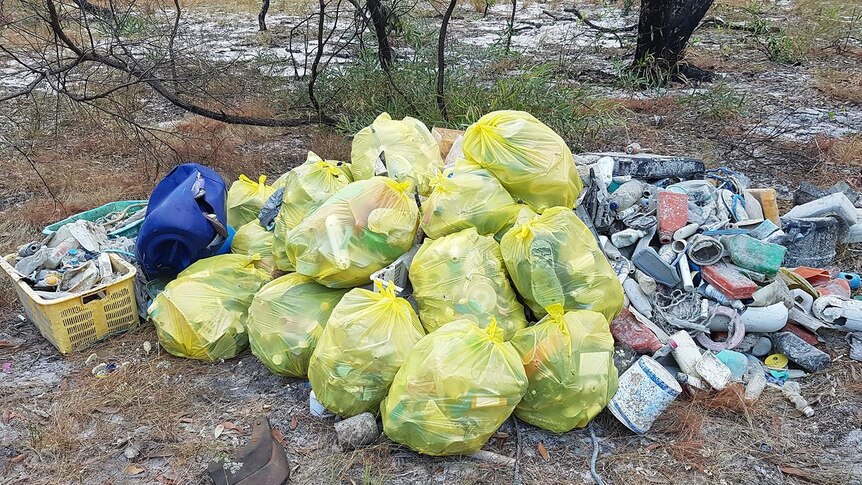 A photo of a pile of bags of waste collected from the beach.